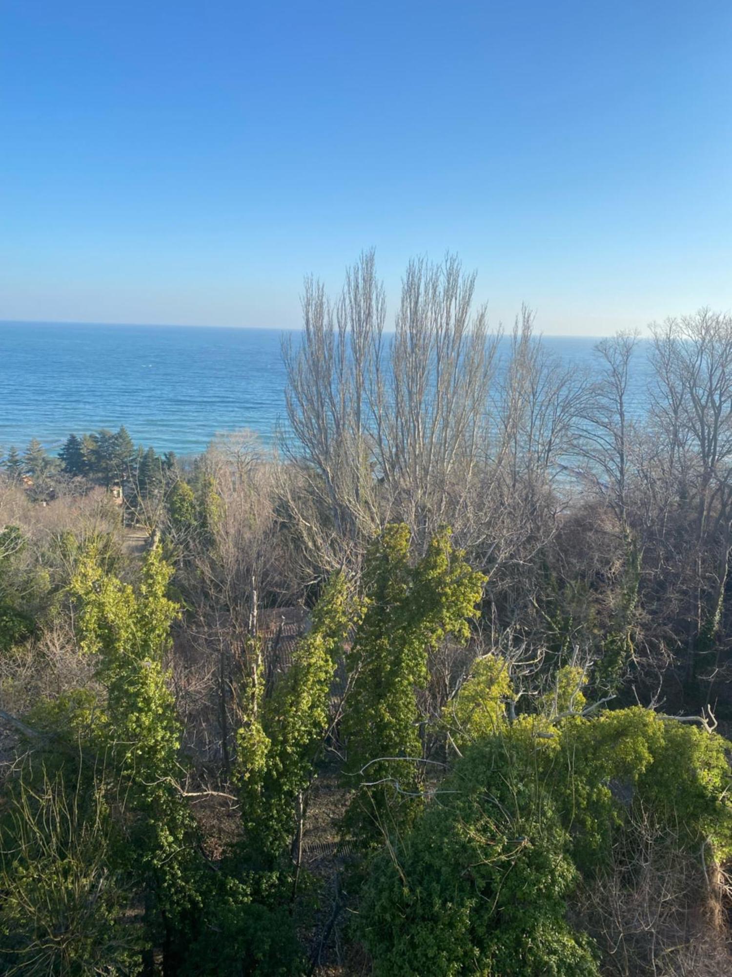 Queen'S Palace Balchik Apartment 外观 照片